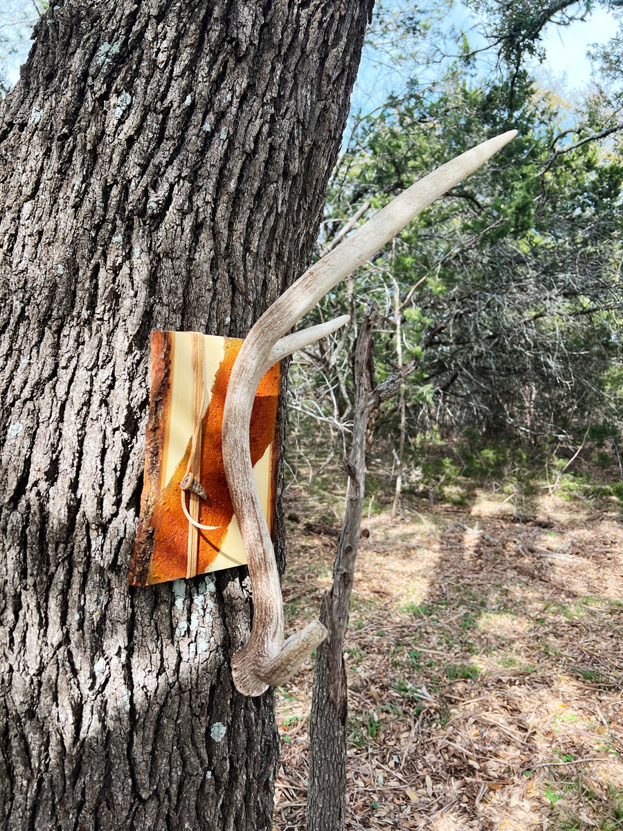 Antler il_1080xN.5839876240_237h.jpg