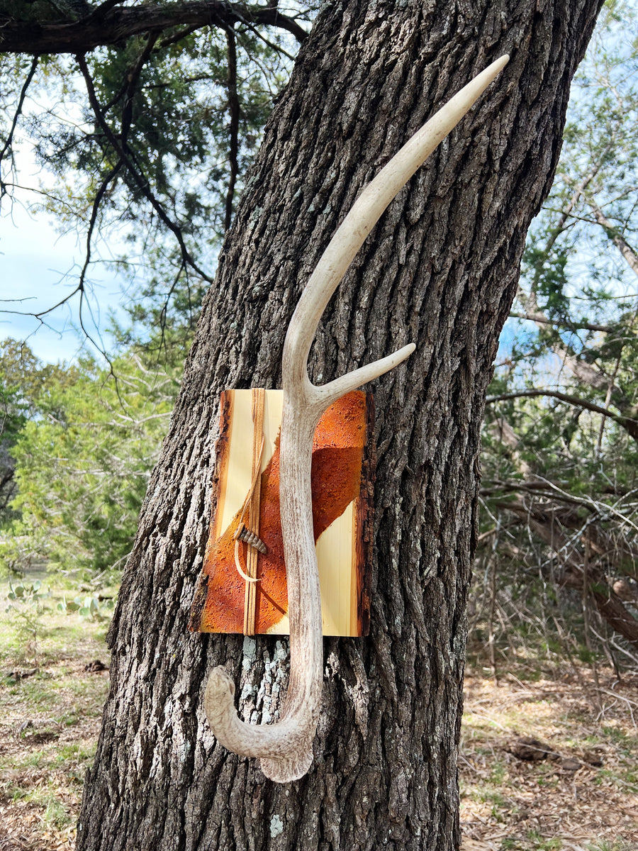 Rust Axis Antler – Ivory Revival