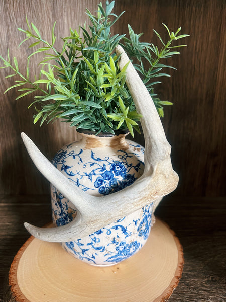 Antler vase