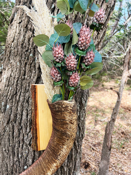 Aoudad horn vase