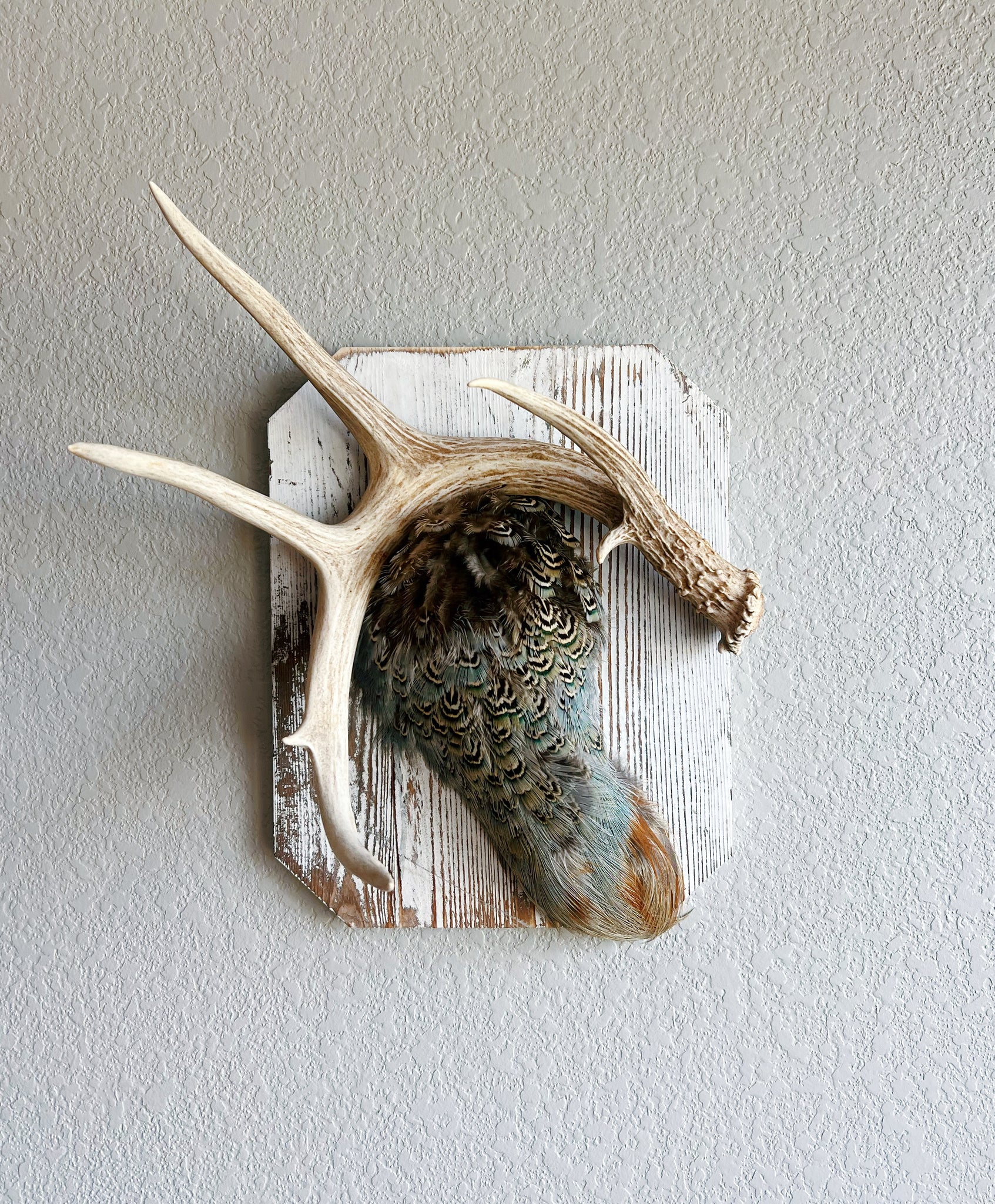 Pheasant//whitetail wall piece