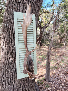 Fallow Antler