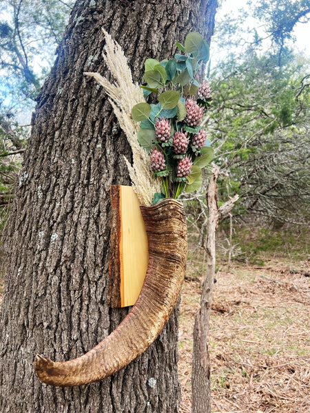 Aoudad horn vase