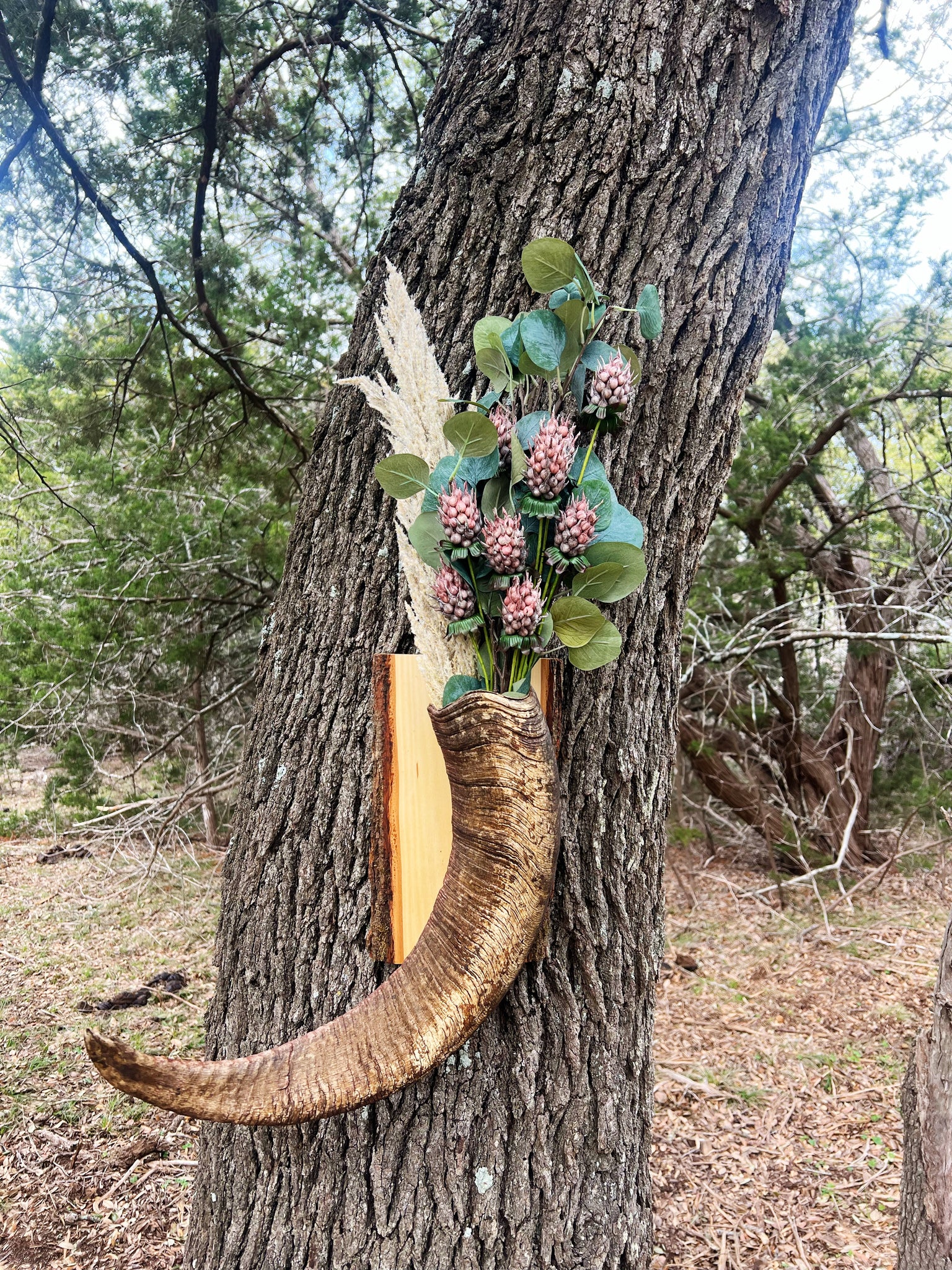 Aoudad horn vase