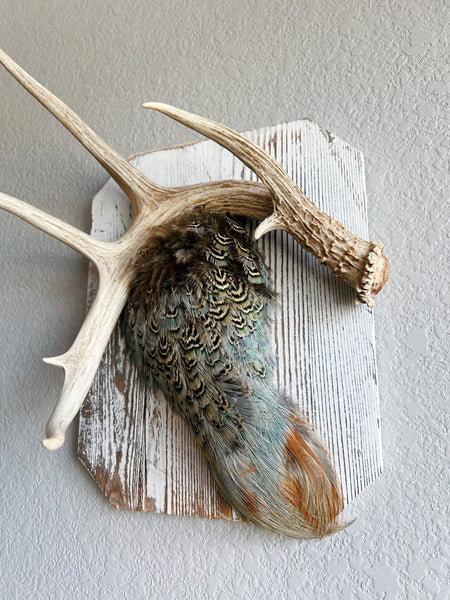 Pheasant//whitetail wall piece