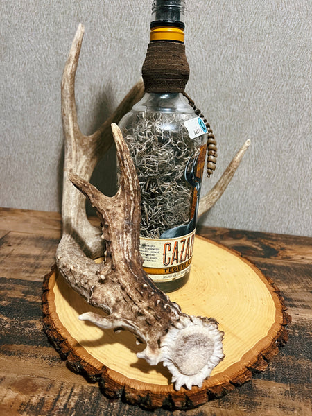 Cazadores Antler