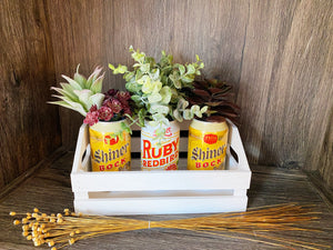 Canned Succulents