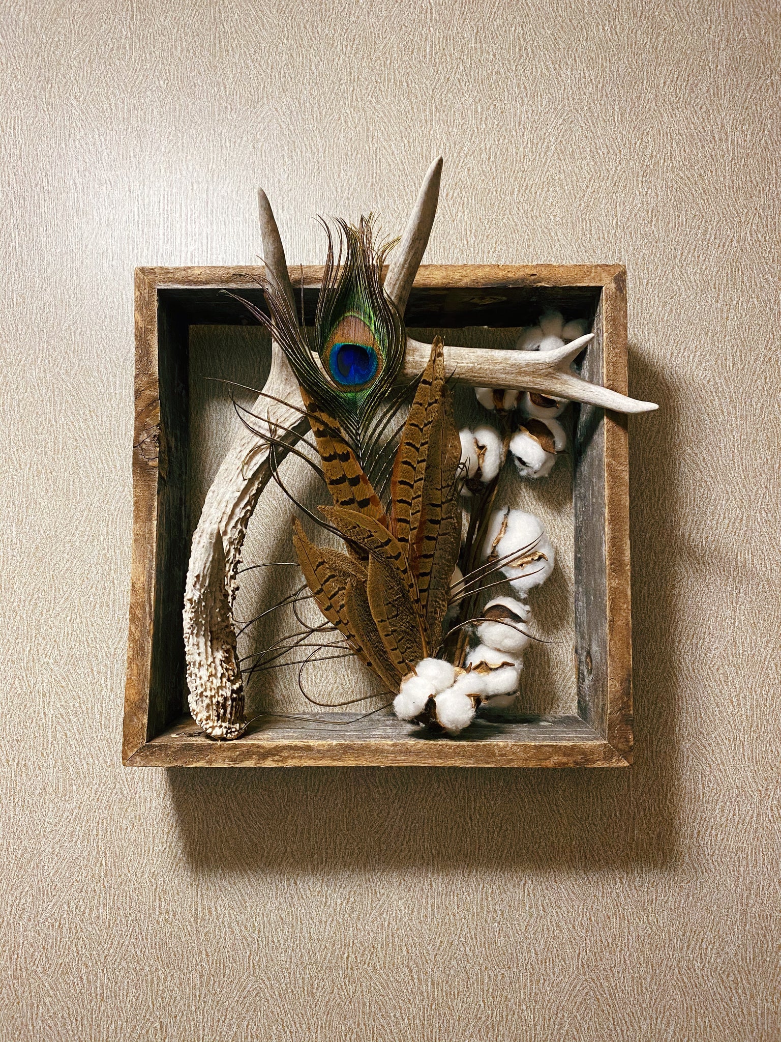 Framed Antler